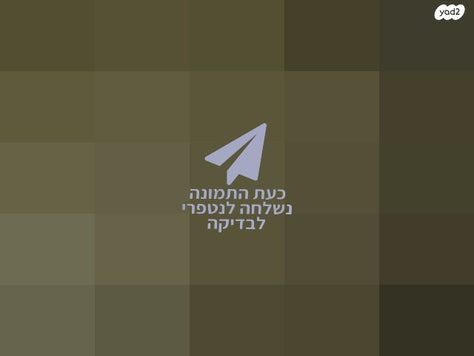 גלילי קנבס איטלקי