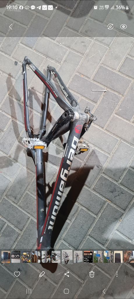 אופניים bergamont שלדה
