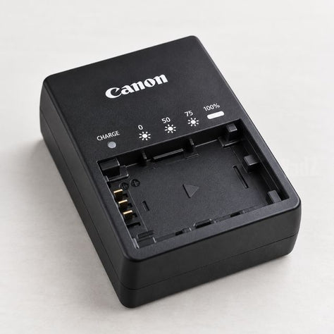 Canon D80