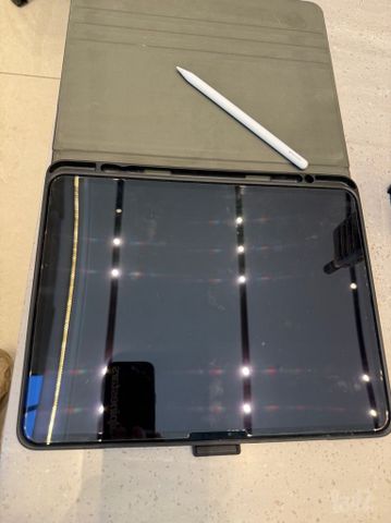 iPad 13 pro M4 256G