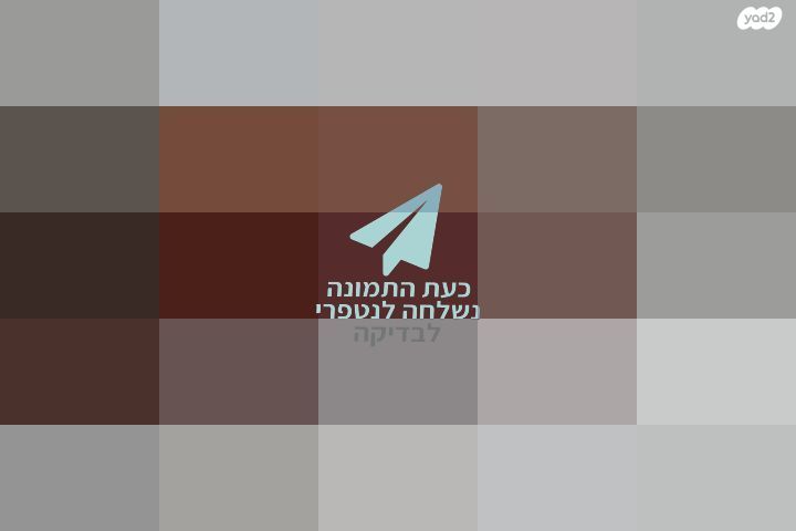 מציאה !
