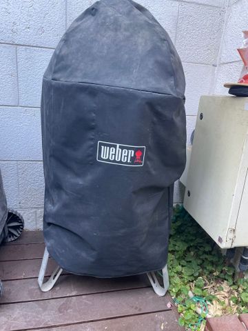 מעשנת פחם Weber