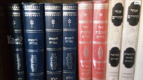 גינת אגוז