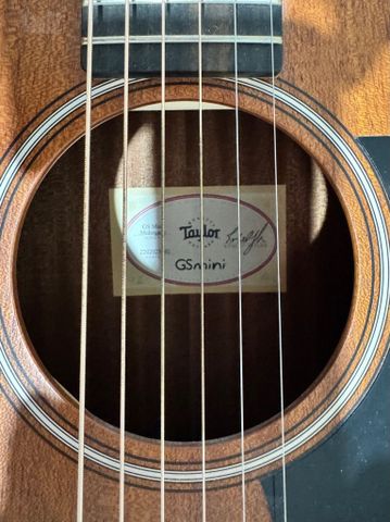 Taylor GS Mini Mahogany