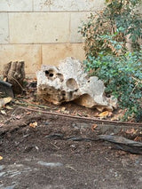 סלעים