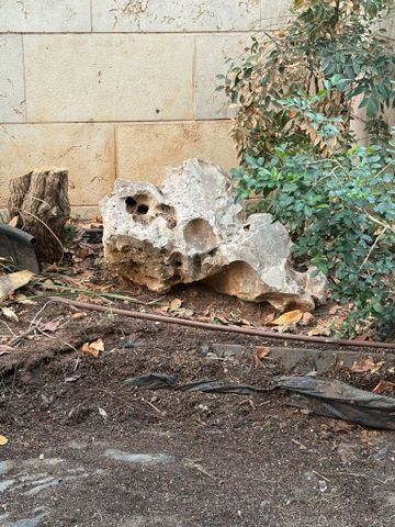 סלעים