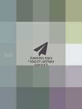 אביזרים לרחפן DJI Mini 3