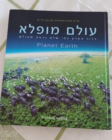 ספר אומנות