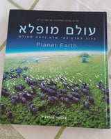 ספר אומנות