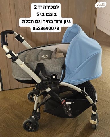 טיולון Bogaboo bee