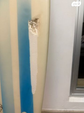 גלשן SPIDER (Shortboard)