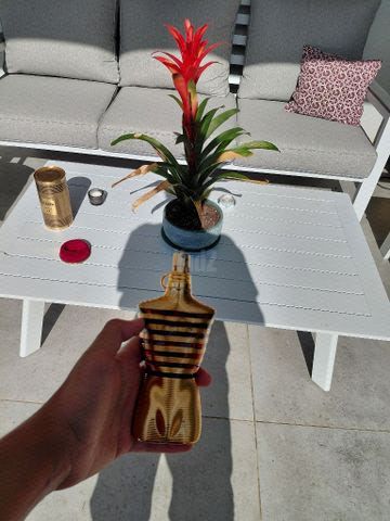 Jean Paul Gaultier  Elixir
