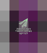 אייפד פרו M2