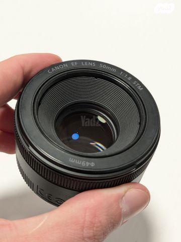 Canon 5D3 + EF 50 1.8