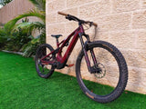 2022 Turbo Levo 3 Expert
