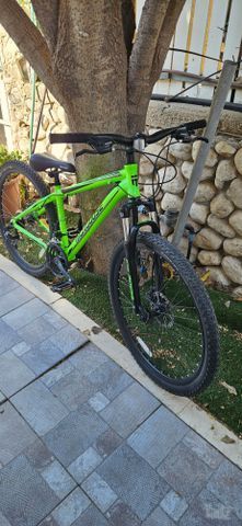 אפניים Mongoose