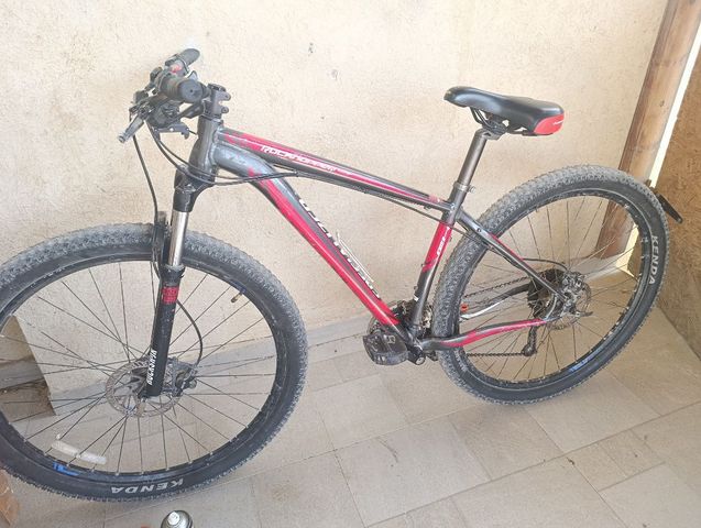 Specialized Rockhopper 29