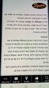 גיטרה חשמלית