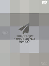 סופטבוקס 60X60 ס"מ