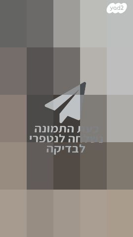 כלי נגינה