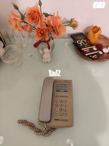 טלפון נייח במצב מצויין