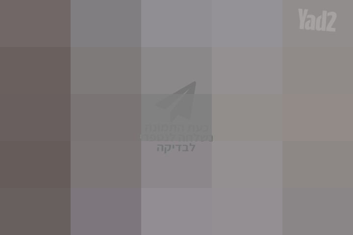 ציור תמונה