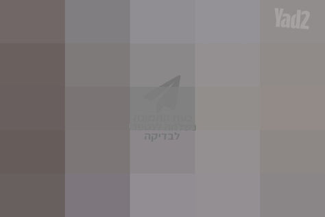 ציור תמונה