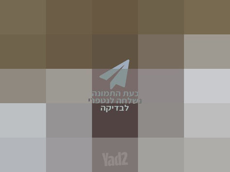 אלקטרוניקה