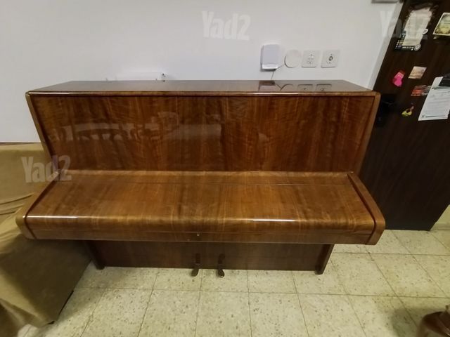 פסנטר