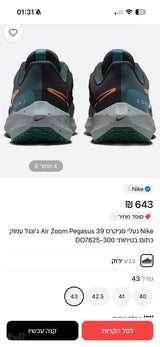 Nike Air Zoom Pegasus 39