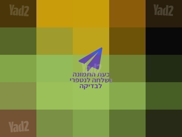 בוגבו גגון שחור בורדו וירוק