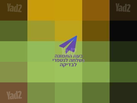 בוגבו גגון שחור בורדו וירוק