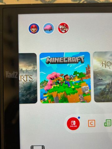 Nintendo switch