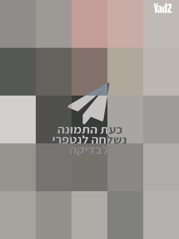 מצלמה
