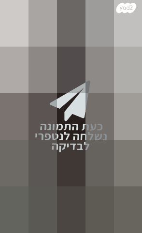 פאה