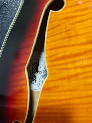 D'Angelico excel ss Korea
