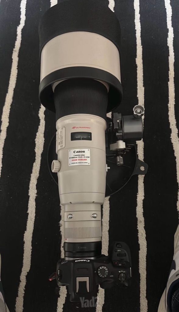 עדשה Canon 800mm 5.6 ef