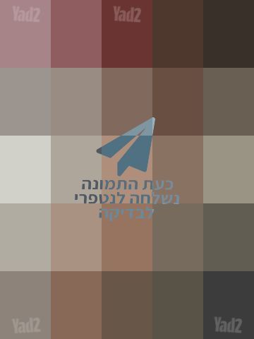 עניבה