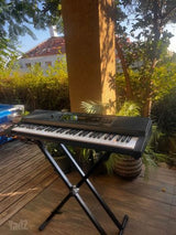 אורגן