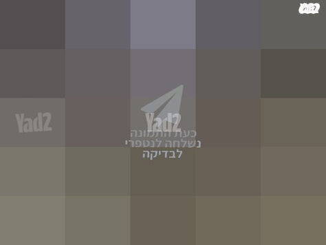 נינגה גריל