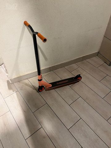 סקוט