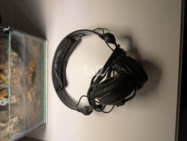 Sennheiser HD25