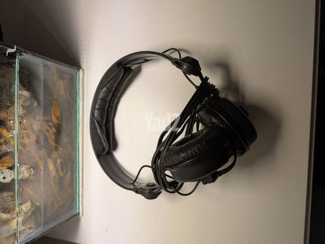 Sennheiser HD25
