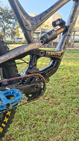 Yt Capra elite L 29