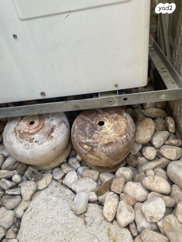 עציצים
