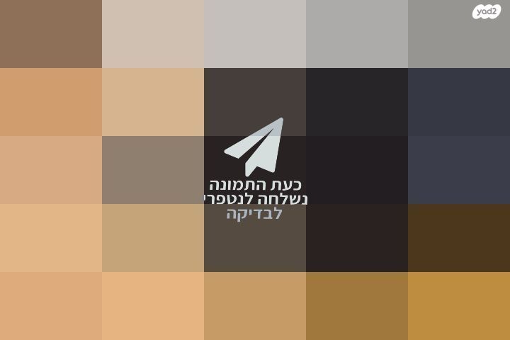 עדשה לניקון