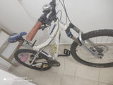 GT avalanche medium