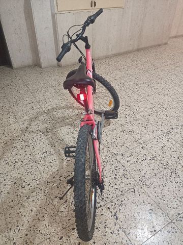 אופניים 24"
