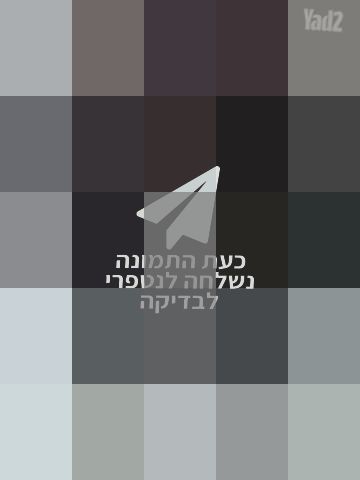 עגלת דונה