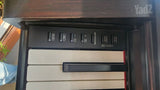 YAMHA Arius ydp-144